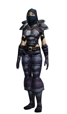 The Shadowcraft Armor set on a character